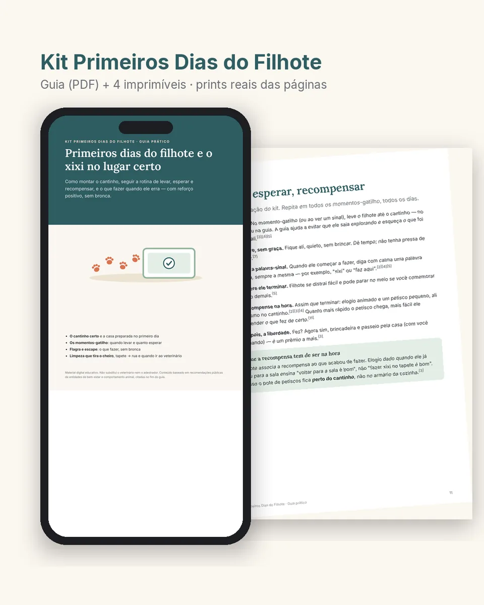 Guia prático "Primeiros dias do filhote e o xixi no lugar certo": como é por dentro