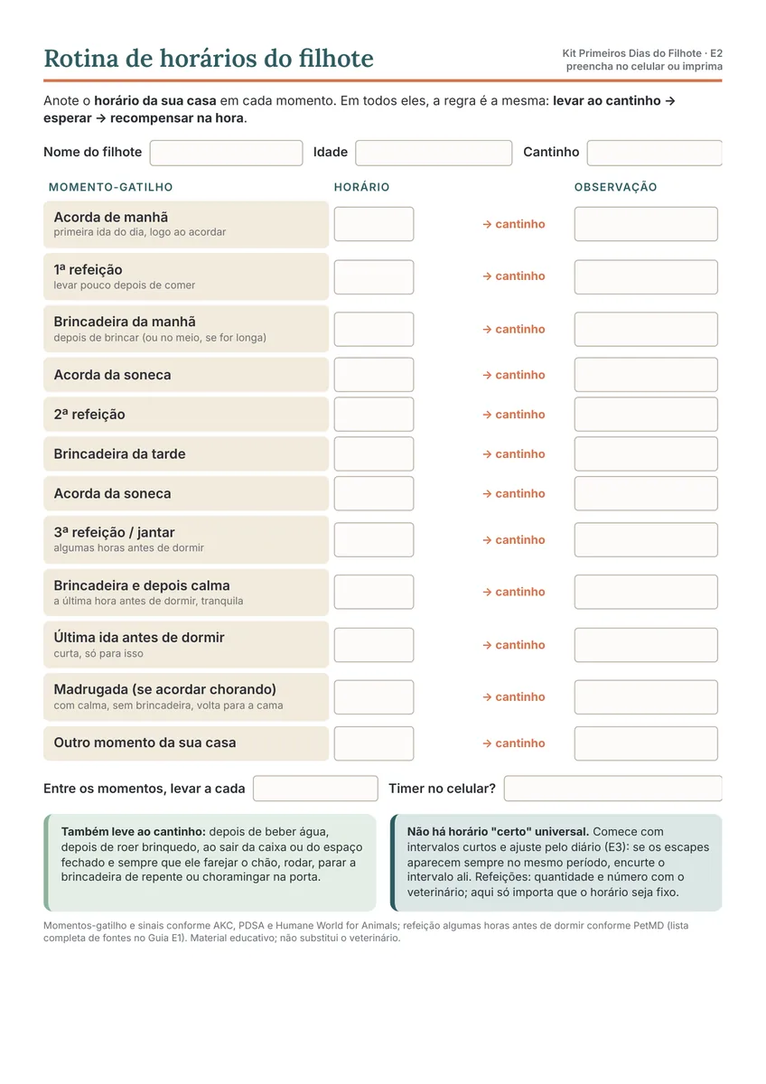 Rotina de horários do filhote: como é por dentro